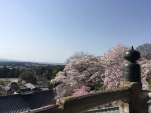 奈良公園　二月堂からの景色