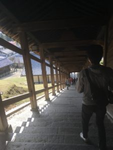 奈良公園　二月堂の階段