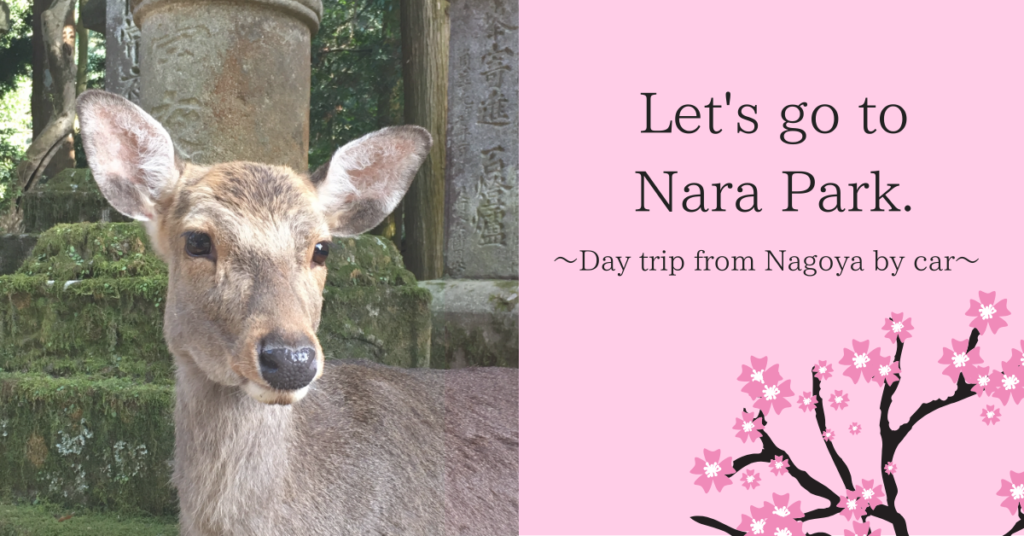 Let's go to Nara Park.Day trip from Nagoya by car
